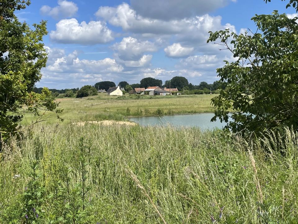 Villa i Channay-sur-Lathan, Indre-et-Loire - foto 2