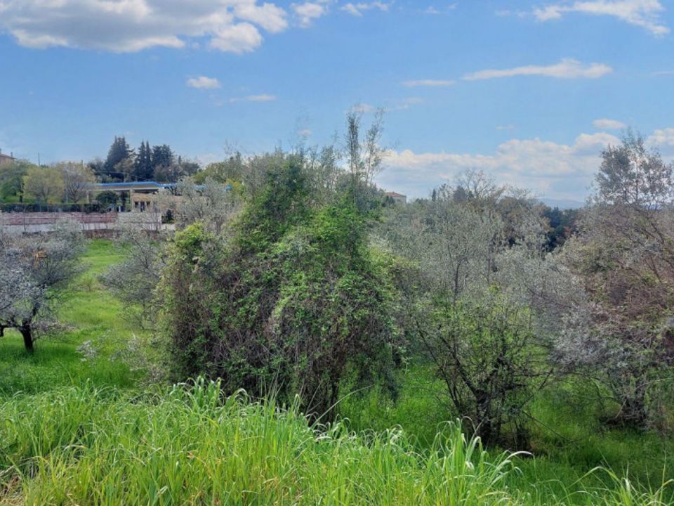 Helårsgrund i Montefalco, Perugia - foto 4