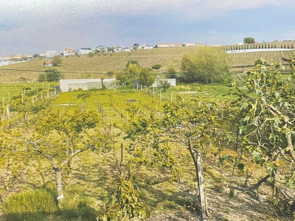 Villa i Alijo, Vila Real - foto 3