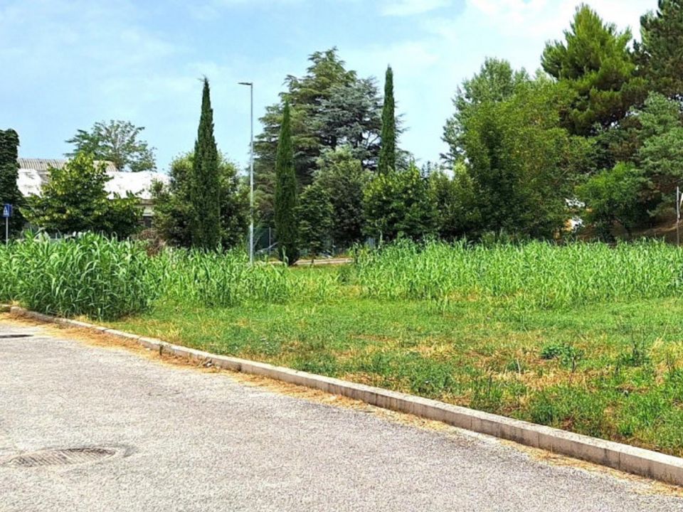 Helårsgrund i Torgiano, Perugia - foto 3