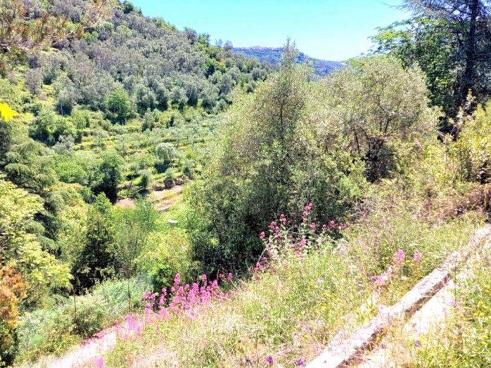 Helårsgrund i Pietrabruna, Imperia - foto 4