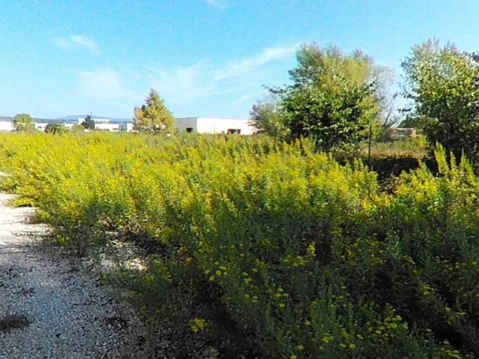 Helårsgrund i Recanati, Macerata - foto 2