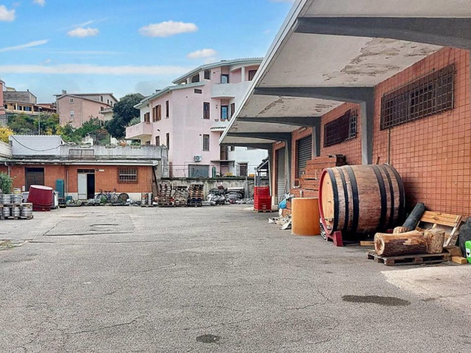 Erhvervsejendom i Oliena, Nuoro - foto 5