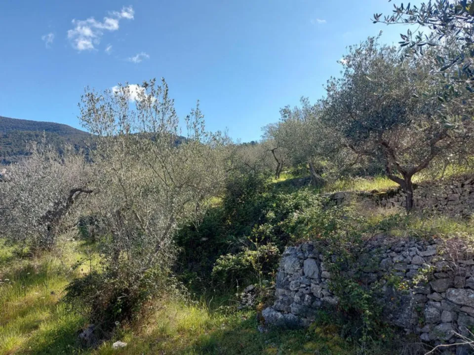 Helårsgrund i Campello sul Clitunno, Perugia - foto 3