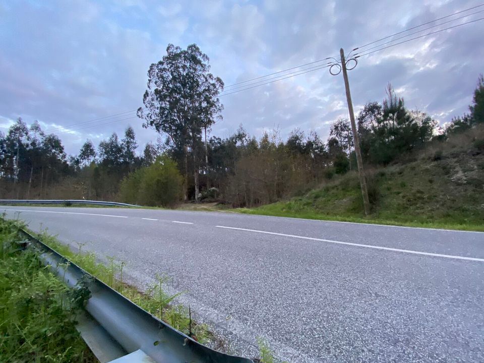 Helårsgrund i Tondela, Viseu - foto 1