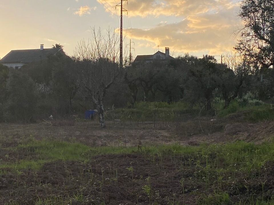 Helårsgrund i Tondela, Viseu - foto 3