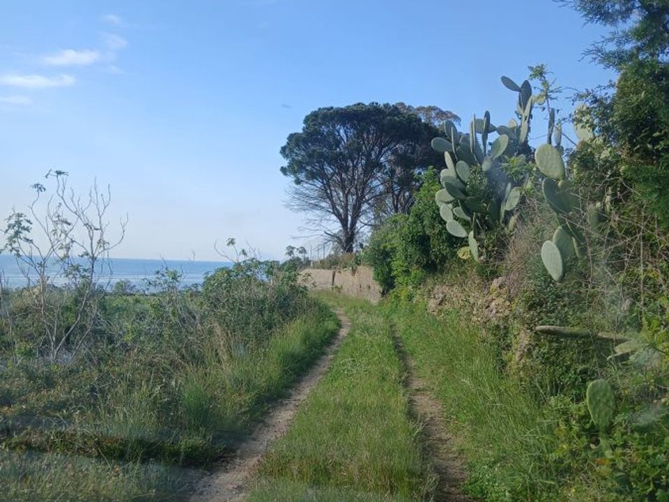 Terreno en Messina, Messina - foto 1