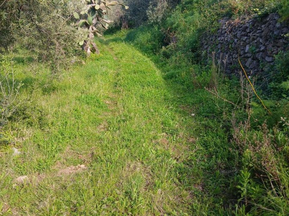 Terra a Messina, Messina - foto 2