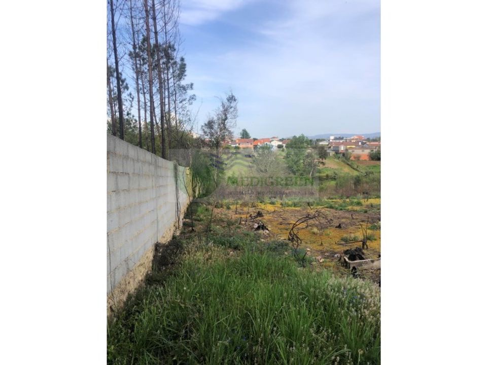 Helårsgrund i Albergaria-a-Velha, Aveiro - foto 3