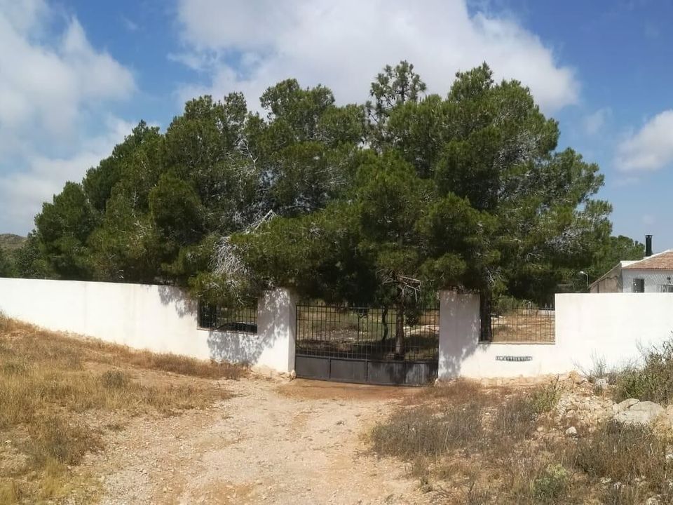Landejendom i Fuente Alamo, Murcia - foto 4