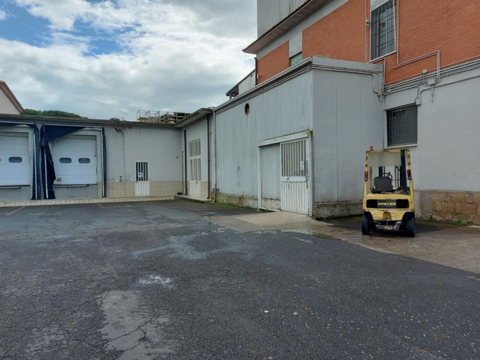 L'establiment comercial a Campagnano di Roma, Rome - foto 2