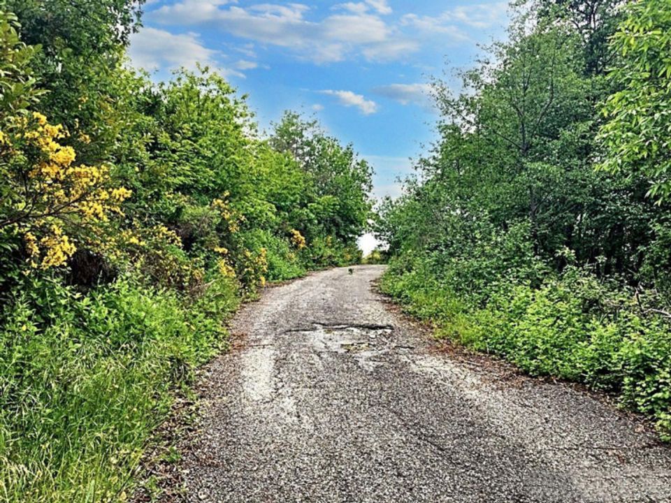 Erhvervsejendom i Sorbo San Basile, Catanzaro - foto 4