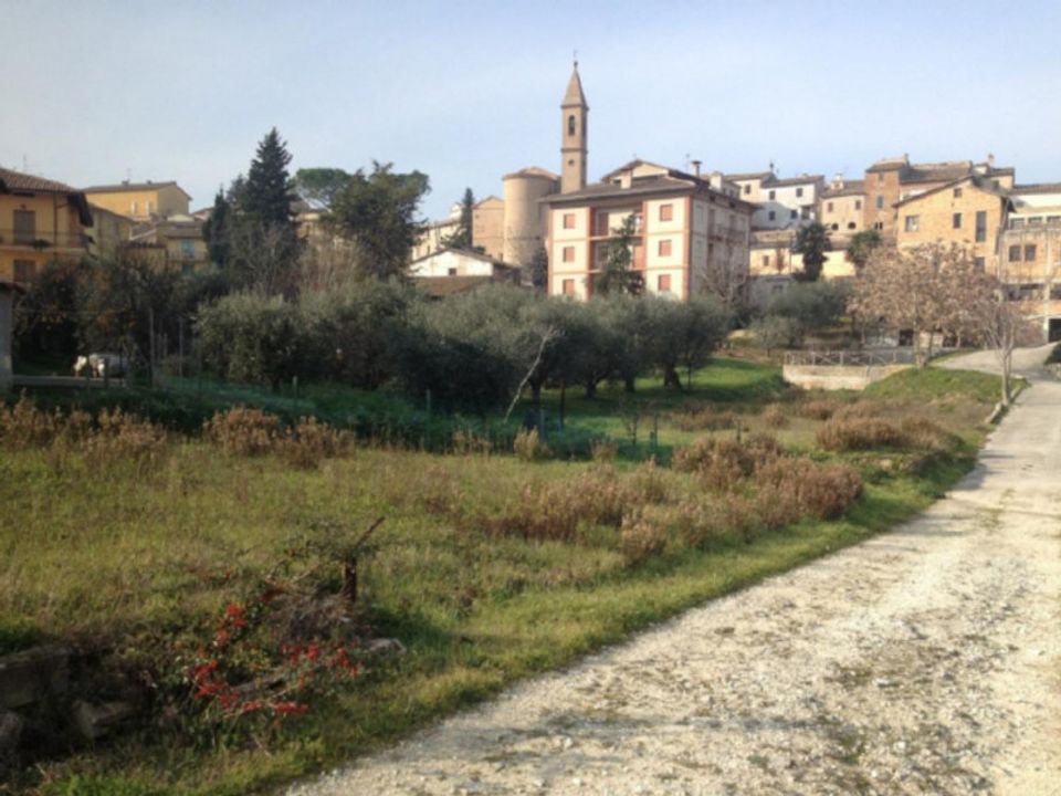 Helårsgrund i Castelleone di Suasa, Ancona - foto 4