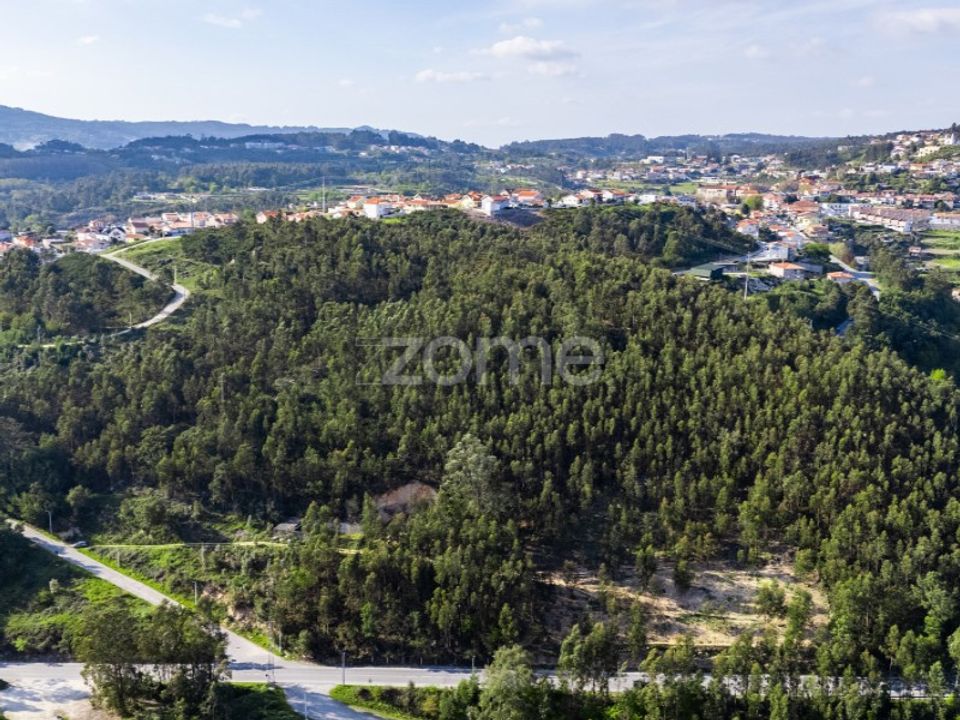 Tomt i Rio de Moinhos, Porto - bilde 3