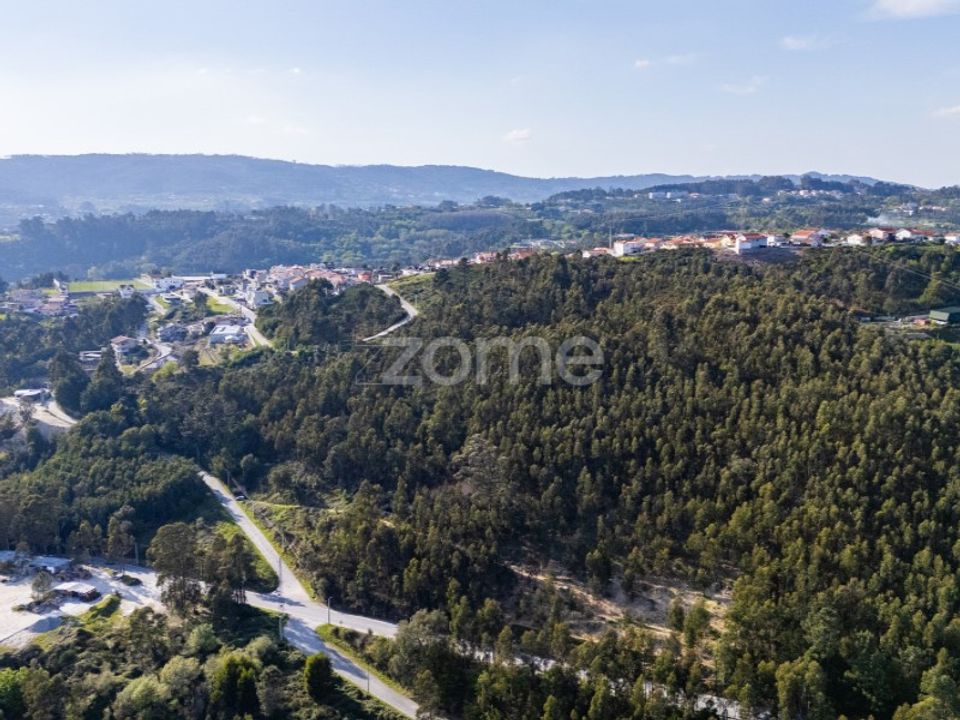 Działka: Rio de Moinhos, Porto – zdjęcie 1