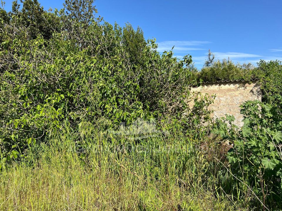 Erhvervsejendom i Alghero, Sassari - foto 4