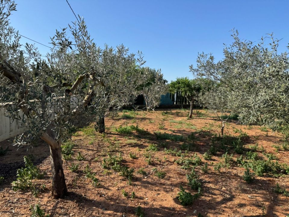 Finca i Benissa, Alicante - foto 5