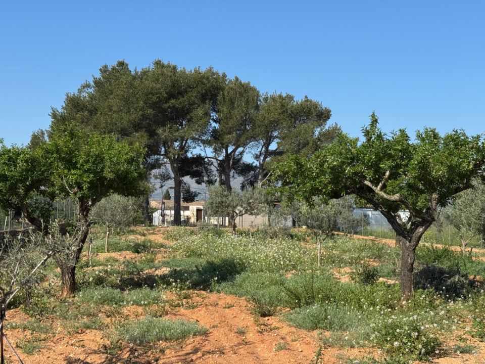 Finca i Benissa, Alicante - foto 2