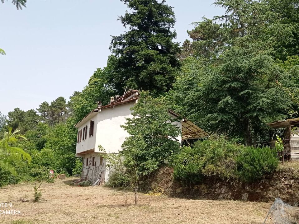 Villa i Perinaldo, Imperia - foto 1