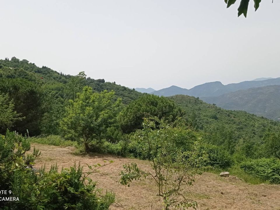 Villa i Perinaldo, Imperia - foto 3