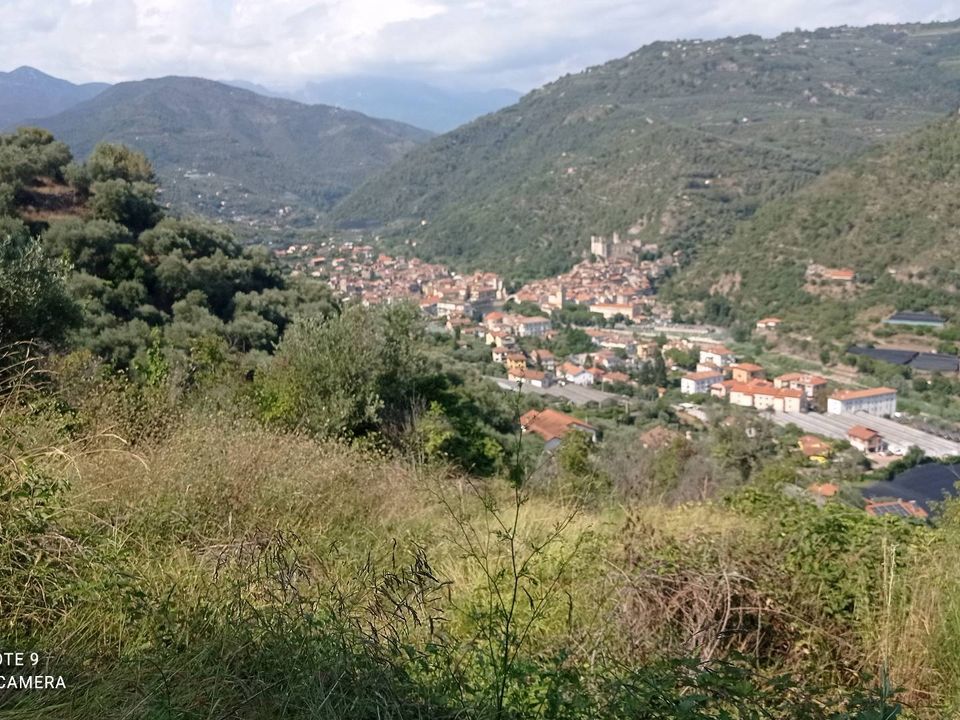 Helårsgrund i Dolceacqua, Imperia - foto 1