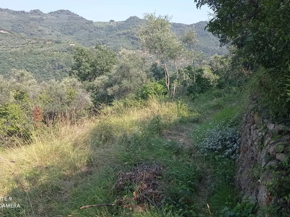 Helårsgrund i Dolceacqua, Imperia - foto 2