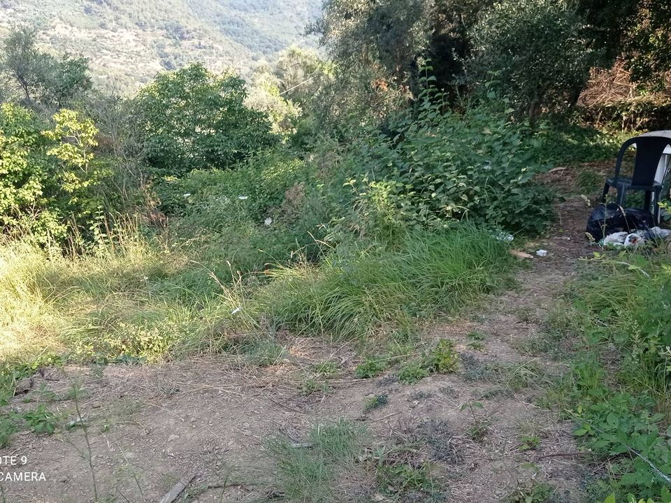 Helårsgrund i Dolceacqua, Imperia - foto 3