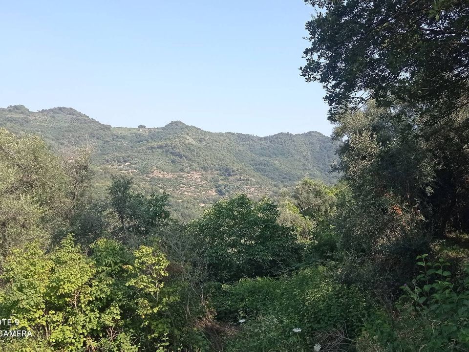 Helårsgrund i Dolceacqua, Imperia - foto 4