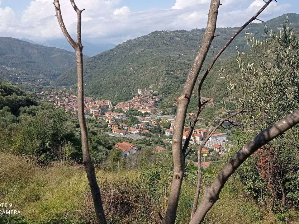 Helårsgrund i Dolceacqua, Imperia - foto 5