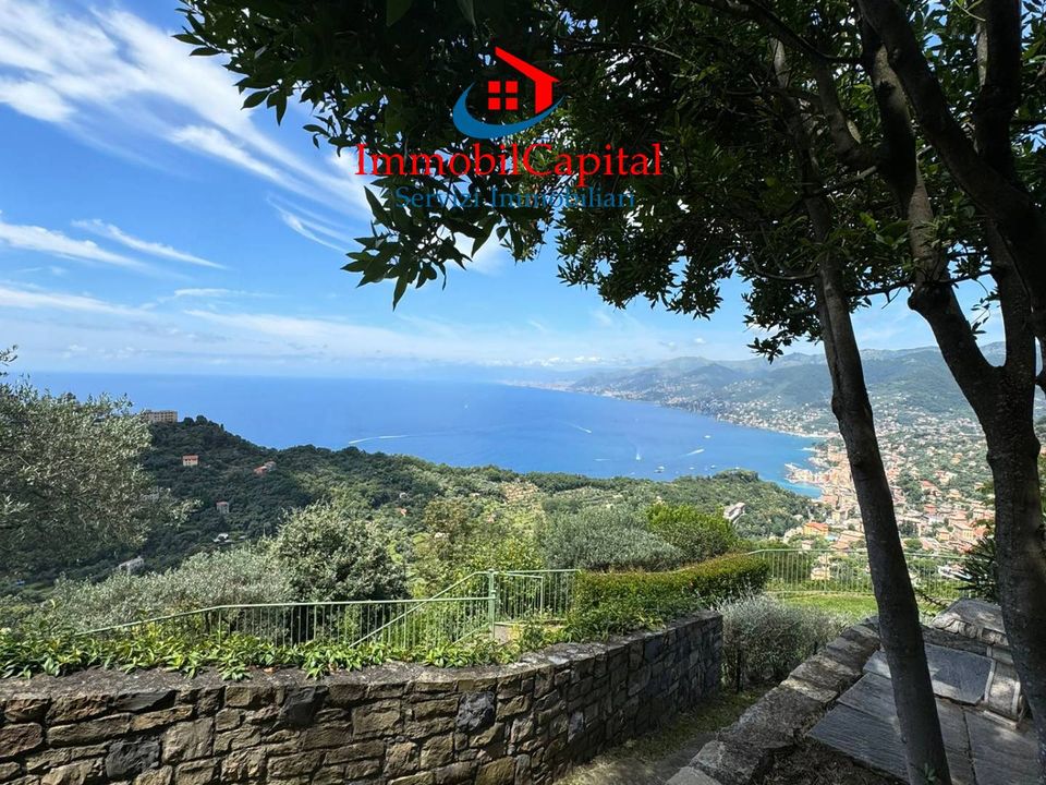 Willa: Camogli, Genoa – zdjęcie 3