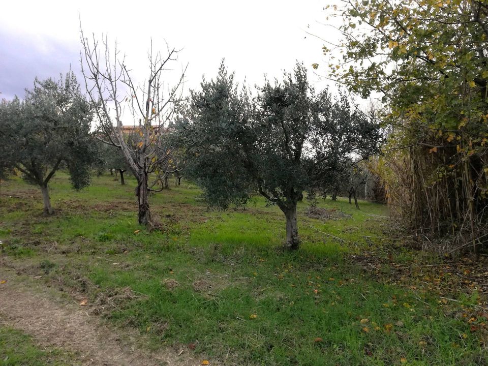 Helårsgrund i Cupello, Chieti - foto 2