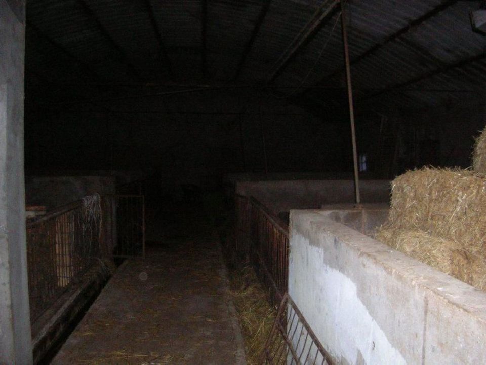 Erhvervsejendom i Carpineto Sinello, Chieti - foto 3