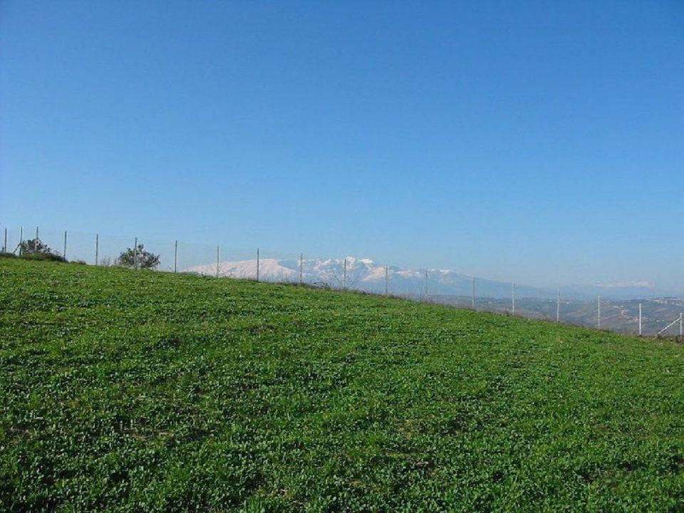 Tomt i Cupello, Chieti - bilde 3