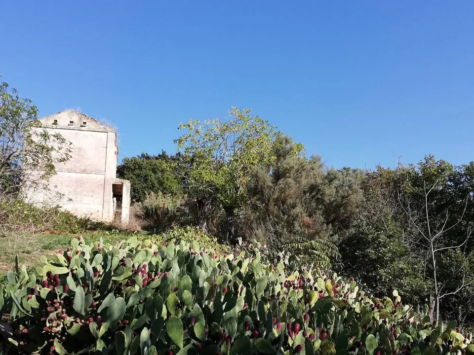 Herregård i Monteodorisio, Chieti - bilde 1