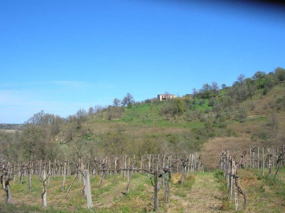 Herregård i Monteodorisio, Chieti - bilde 5