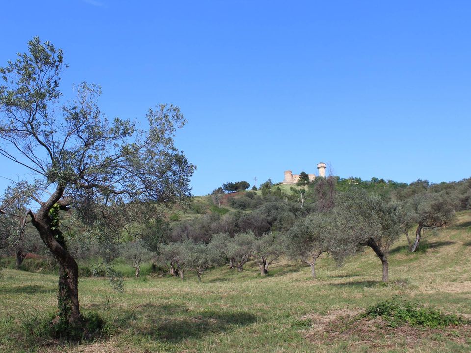 Tomt i Monteodorisio, Chieti - bilde 1