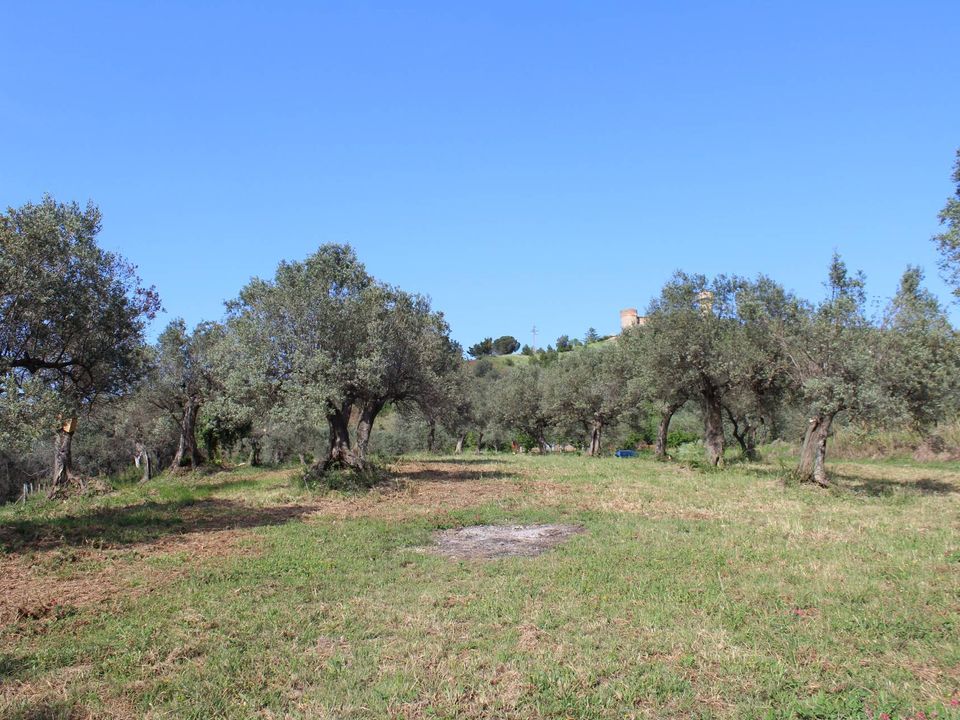Tomt i Monteodorisio, Chieti - bilde 4