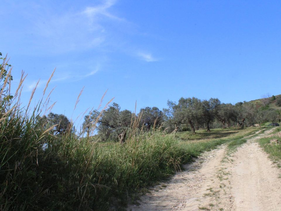 Tomt i Monteodorisio, Chieti - bilde 5