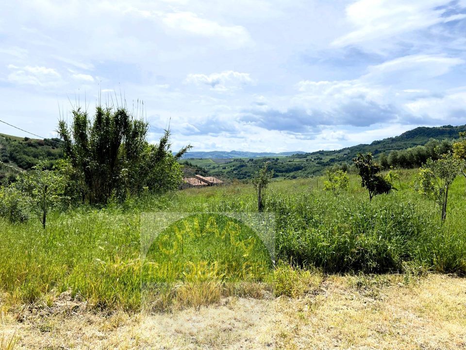 Villa i Cupello, Chieti - foto 3