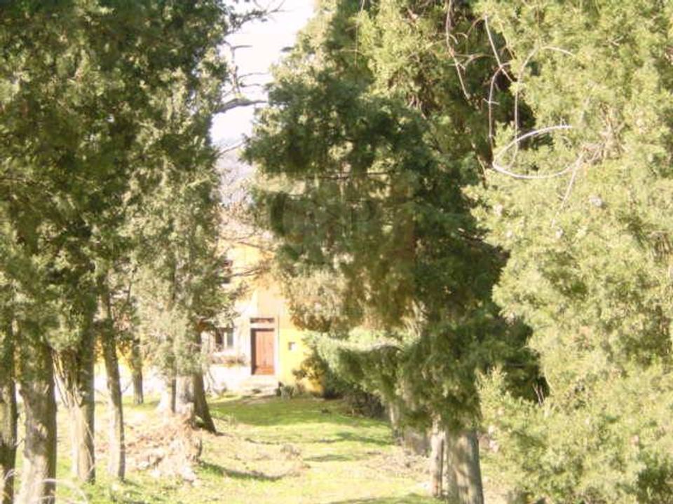 Landejendom i Rufina, Florence - foto 5