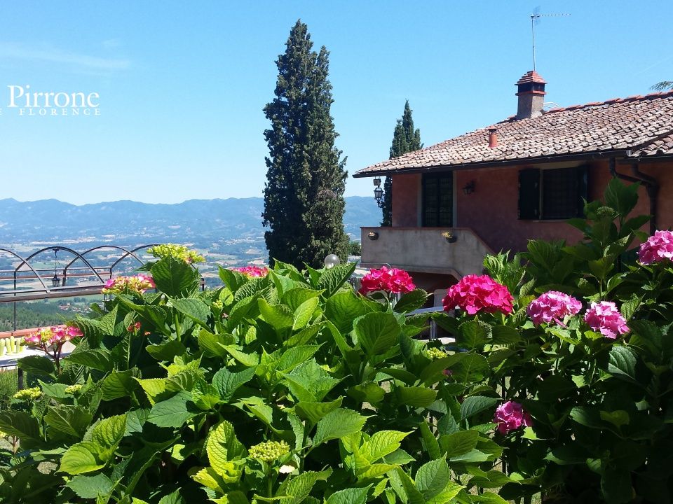 Herregård i Vicchio, Florence - bilde 2