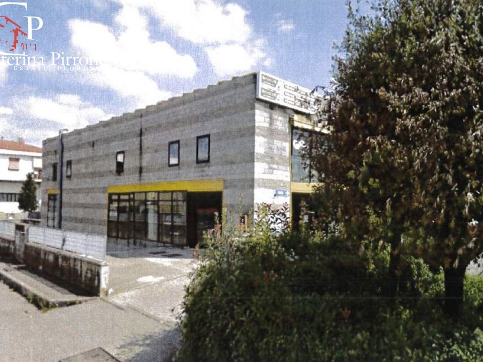 Erhvervsejendom i Borgo San Lorenzo, Florence - foto 1