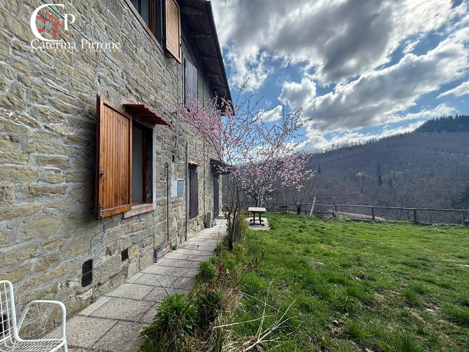 Landejendom i Pratovecchio Stia, Arezzo - foto 4