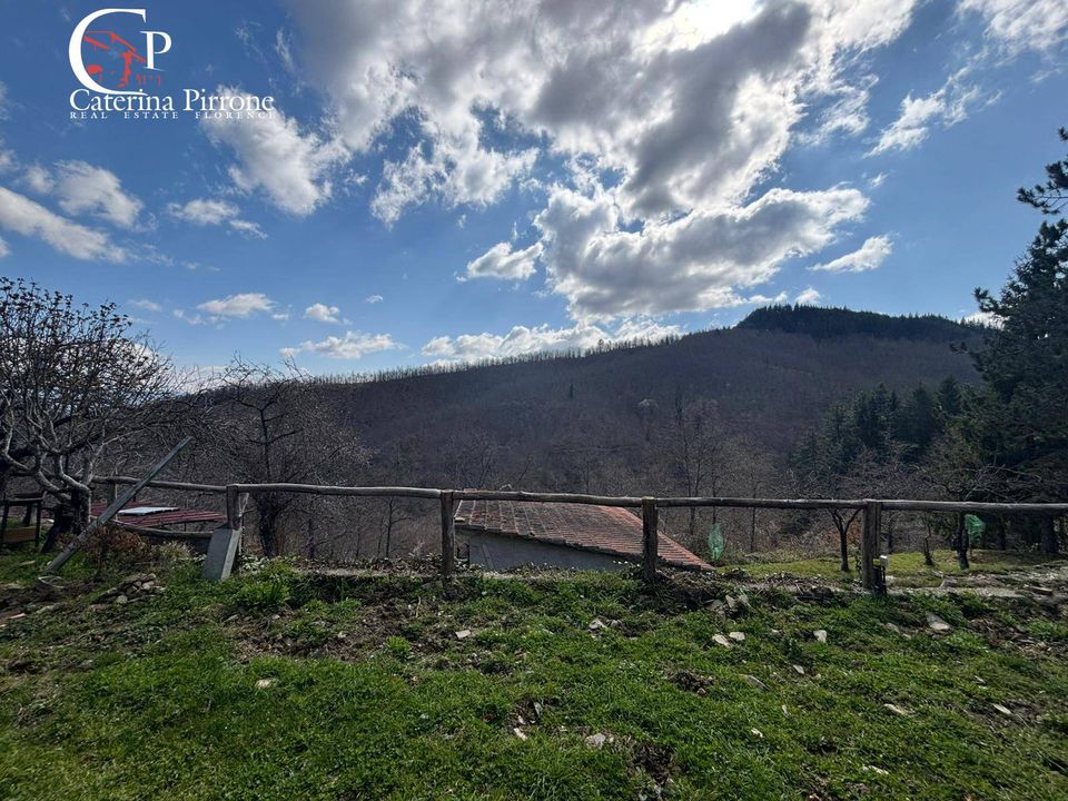 Landejendom i Pratovecchio Stia, Arezzo - foto 5