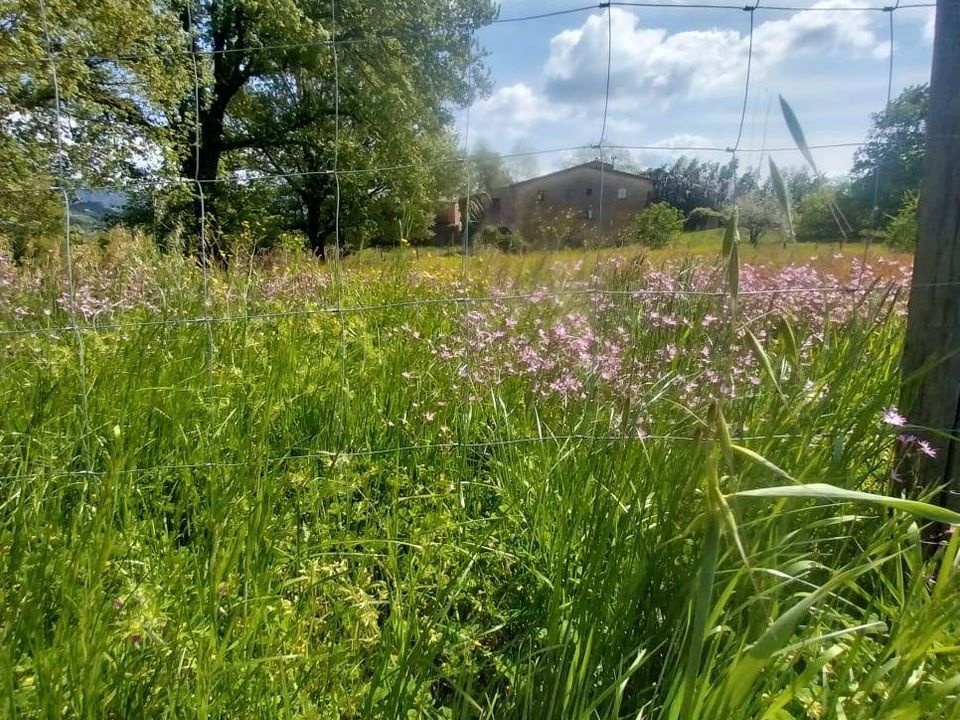 Country house in Scarperia e San Piero, Florence - photo 1