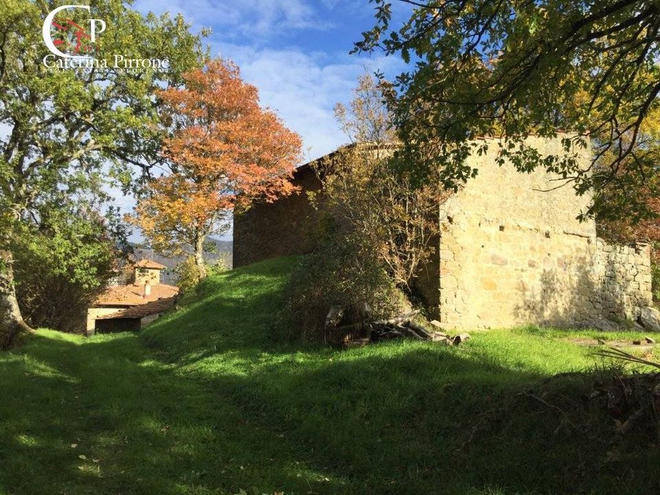 Landejendom i San Godenzo, Florence - foto 2