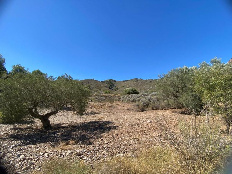 Terra a Lorca, Murcia - foto 3