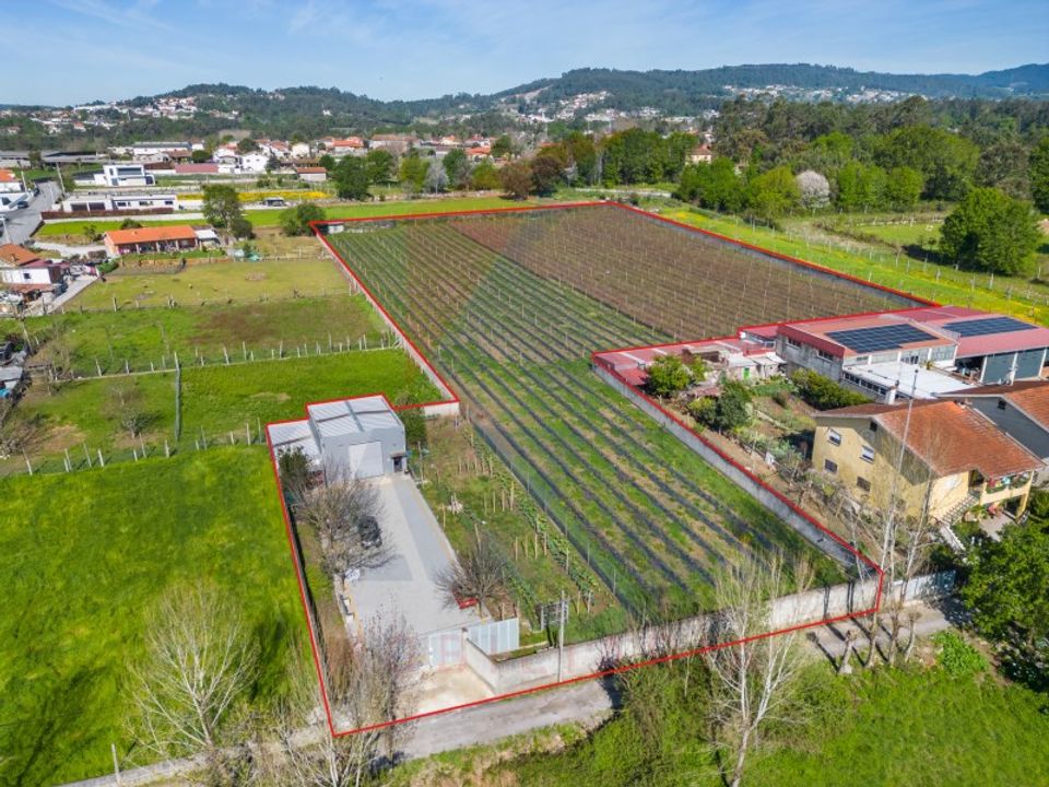 Helårsgrund i Vila Verde, Braga - foto 1