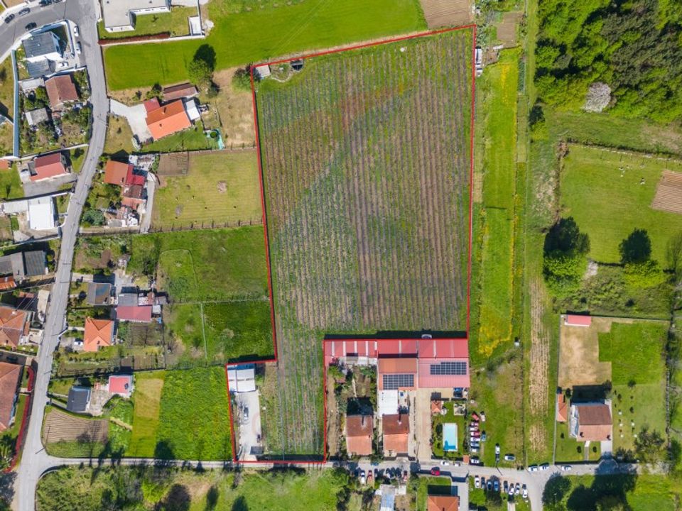Helårsgrund i Vila Verde, Braga - foto 2