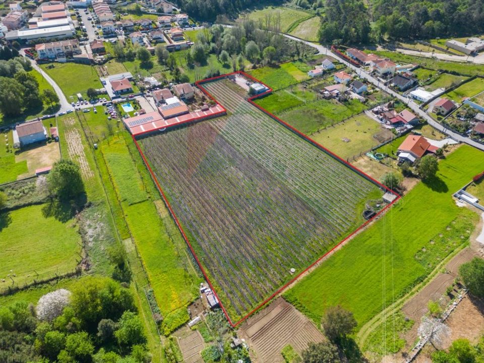 Helårsgrund i Vila Verde, Braga - foto 3
